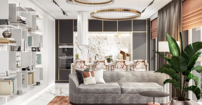 Shine apartment